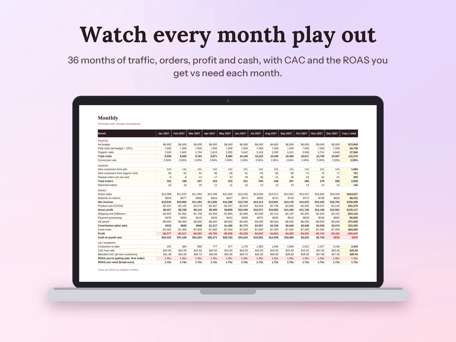 Ecommerce Financial Model & Business Plan: Watch every month play out