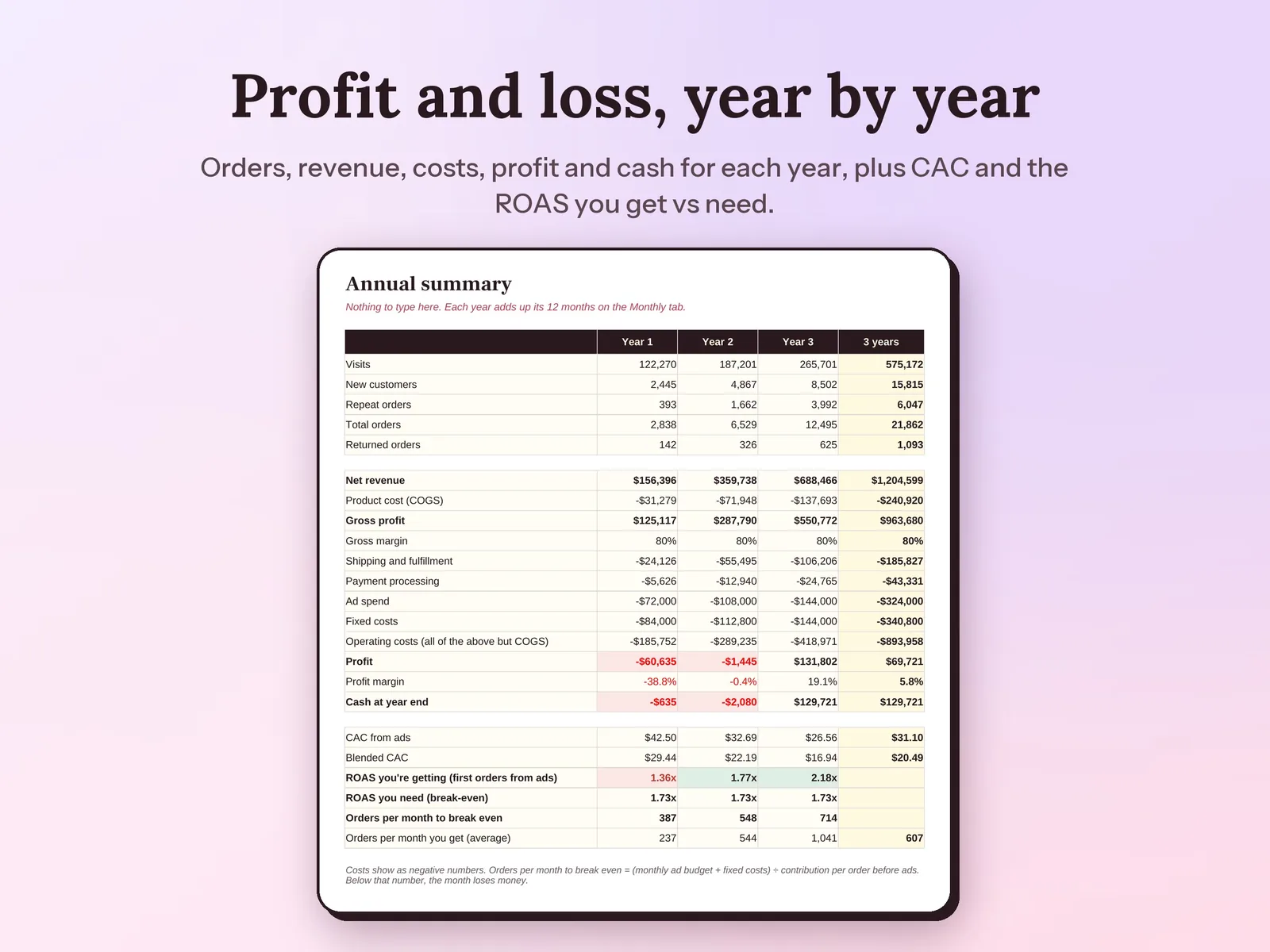 Ecommerce Financial Model & Business Plan: Profit and loss, year by year