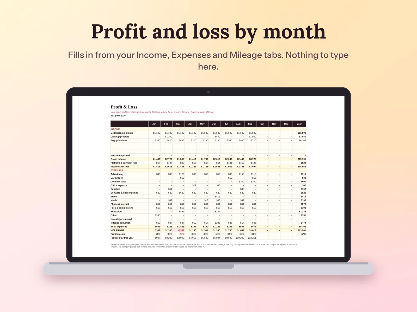 Side Hustle Income, Expense & Tax Tracker: Profit and loss by month