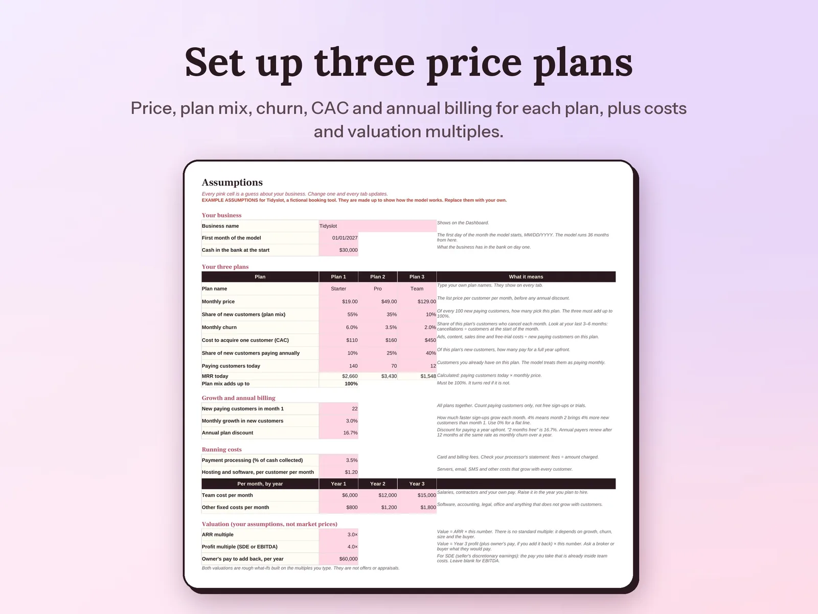 SaaS Financial Model & Startup Forecast: Set up three price plans