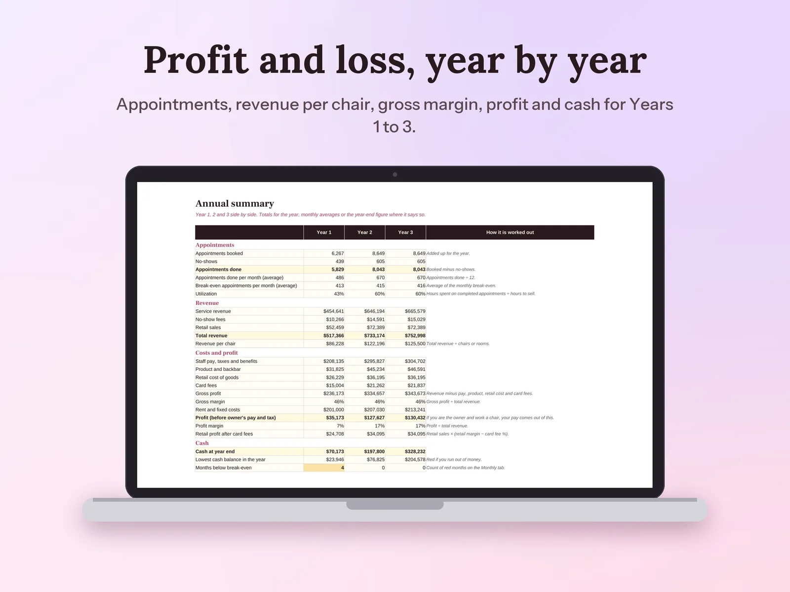 Salon Business Plan & Financial Model: Profit and loss, year by year