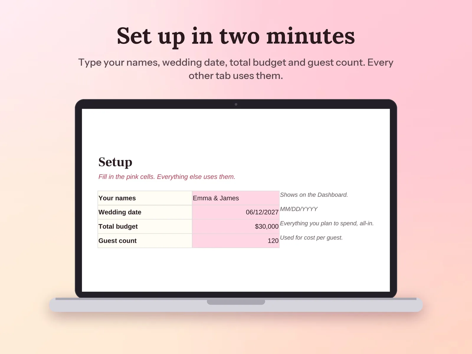 Wedding Budget Spreadsheet & Payment Tracker: Set up in two minutes